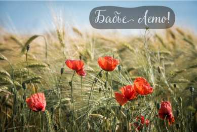 Бабье лето Открытки с поздравлениями на Бабье Лето. С Бабьим Летом! Праздник.