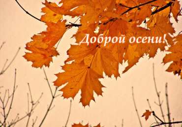 Открытки Осень Открытки на осень. Осенние открытки. С осенью поздравления.  Открытки на осень. Осенние открытки. С осенью поздравления. Красивые открытки смотреть онлайн бесплатно. Хорошего осеннего дня и осеннего утра. Осенние открытки для близких.