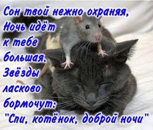 Пожелания любимым Открытки с пожеланиями для любимых. Открытки для второй половинки.