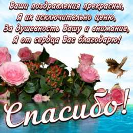 Спасибо Открытки с надписью - спасибо!   Открытки с благодарностями.
