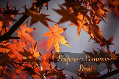Открытки Осень Открытки на осень. Осенние открытки. С осенью поздравления.  Открытки на осень. Осенние открытки. С осенью поздравления. Красивые открытки смотреть онлайн бесплатно. Хорошего осеннего дня и осеннего утра. Осенние открытки для близких.