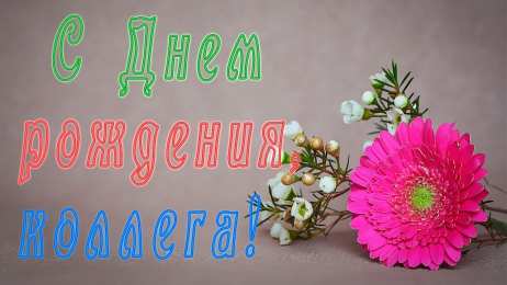 С Днём рождения коллеге Открытки с поздравлением на День Рождения коллеге. Открытки коллеге.