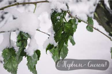 Открытки Первый снег Открытки к первому снегу. Поздравления с первым выпавшим снегом. Открытки к первому снегу. Поздравления с первым выпавшим снегом. Красивые открытки смотреть онлайн бесплатно. Первый снег поздравления для родных и близких. С первым снегом!