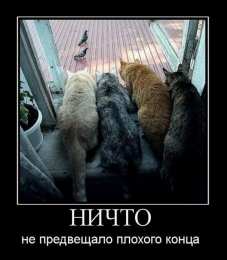 Демотиваторы Открытки демотиваторы. Прикольные открытки в демотиваторах. 