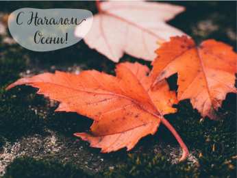 Открытки С началом осени Открытки с поздравлениями с началом осени. Начало осени открытки. Открытки с поздравлениями с началом осени. Начало осени открытки. Красивые открытки смотреть онлайн бесплатно. Поздравления с началом осени для родных и близких.