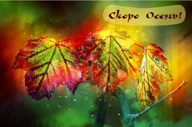 Открытки Скоро осень Открытки в преддверии осени. Скоро осень поздравления. Осень близко. Открытки в преддверии осени. Скоро осень поздравления. Осень близко. Красивые открытки смотреть онлайн бесплатно. Скоро осень открытки в преддверии осени. Осень.