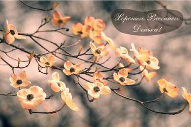 Открытки Весна Открытки на весну. Весенние открытки. Весенние пожелания на каждый день. Открытки на весну. Весенние открытки. Весенние пожелания на каждый день. Красивые открытки смотреть онлайн бесплатно. Весеннее настроение и пожелание хорошего дня.