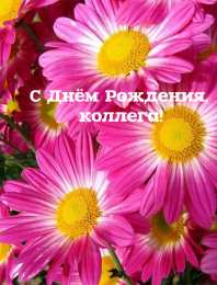 Открытки С Днём рождения коллеге Открытки с поздравлением на День Рождения коллеге. Открытки коллеге. Открытки с поздравлением на День Рождения коллеге. Открытки коллеге. С Днём Рождения коллега! Красивые открытки смотреть онлайн бесплатно.  Поздравить коллегу. 