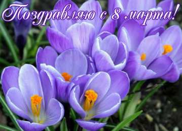 8 матра Открытки с поздравлением к 8 марта. Открытки на женский день.