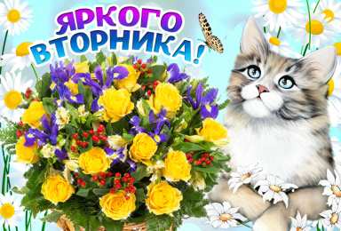 Удачного вторника Открытки с пожеланием удачного вторника. Хорошего вторника. 