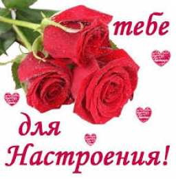 Для хорошего настроения Открытки с цветами для хорошего настроения. Порадовать открыткой.