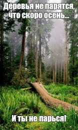 Открытки Скоро осень Открытки в преддверии осени. Скоро осень поздравления. Осень близко. Открытки в преддверии осени. Скоро осень поздравления. Осень близко. Красивые открытки смотреть онлайн бесплатно. Скоро осень открытки в преддверии осени. Осень.