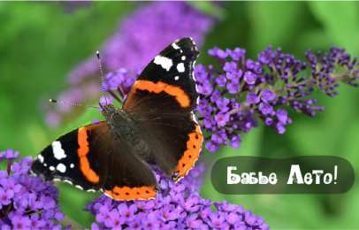 Бабье лето Открытки с поздравлениями на Бабье Лето. С Бабьим Летом! Праздник.