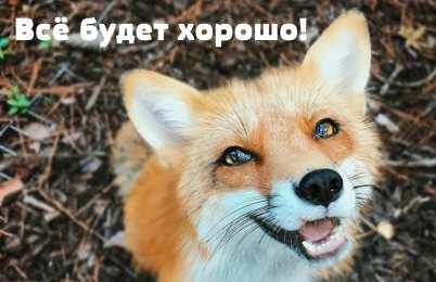 Открытки Всё будет хорошо! Открытки - всё будет хорошо! Приободрить словами - всё будет хорошо!  Открытки - всё будет хорошо! Приободрить словами - всё будет хорошо! Красивые открытки смотреть онлайн бесплатно. Поднять настроение родным и близким. Всё будет хорошо!