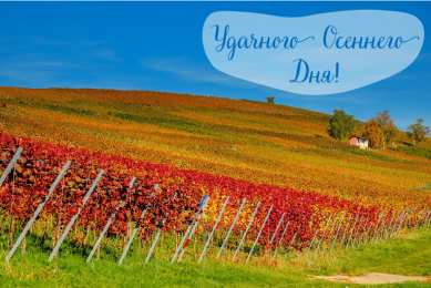 Открытки Осень Открытки на осень. Осенние открытки. С осенью поздравления.  Открытки на осень. Осенние открытки. С осенью поздравления. Красивые открытки смотреть онлайн бесплатно. Хорошего осеннего дня и осеннего утра. Осенние открытки для близких.