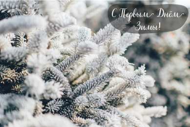 Открытки С первым днем зимы Открытки с первым днём зимы..  Поздравления с началом зимы.  Открытки с первым днём зимы..  Поздравления с началом зимы. Красивые открытки смотреть онлайн бесплатно. Открытки с поздравлениями с первым днем зимы. С началом зимы.