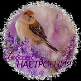 Хорошего настроения Открытки для хорошего настроения. Красивые открытки - хорошего настроения.