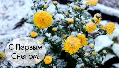 Открытки Первый снег Открытки к первому снегу. Поздравления с первым выпавшим снегом. Открытки к первому снегу. Поздравления с первым выпавшим снегом. Красивые открытки смотреть онлайн бесплатно. Первый снег поздравления для родных и близких. С первым снегом!