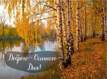 Открытки Осень Открытки на осень. Осенние открытки. С осенью поздравления.  Открытки на осень. Осенние открытки. С осенью поздравления. Красивые открытки смотреть онлайн бесплатно. Хорошего осеннего дня и осеннего утра. Осенние открытки для близких.