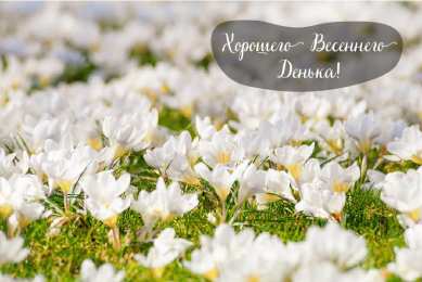 Открытки Весна Открытки на весну. Весенние открытки. Весенние пожелания на каждый день. Открытки на весну. Весенние открытки. Весенние пожелания на каждый день. Красивые открытки смотреть онлайн бесплатно. Весеннее настроение и пожелание хорошего дня.