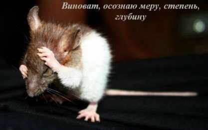 Открытки с извинениями любимым Открытки с извинениями для любимых. Просьба о прощении любимого.