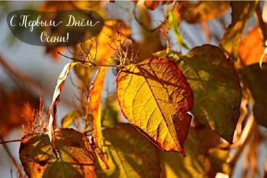 Открытки С началом осени Открытки с поздравлениями с началом осени. Начало осени открытки. Открытки с поздравлениями с началом осени. Начало осени открытки. Красивые открытки смотреть онлайн бесплатно. Поздравления с началом осени для родных и близких.