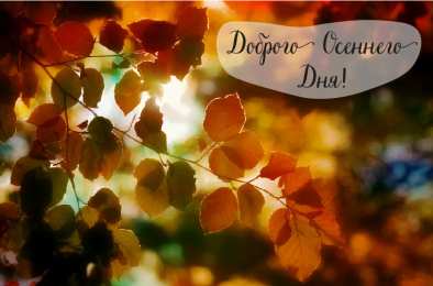 Открытки Осень Открытки на осень. Осенние открытки. С осенью поздравления.  Открытки на осень. Осенние открытки. С осенью поздравления. Красивые открытки смотреть онлайн бесплатно. Хорошего осеннего дня и осеннего утра. Осенние открытки для близких.