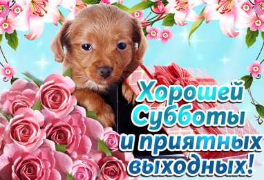 Удачной субботы Открытки с пожеланием удачной субботы. Открытки на субботу. 