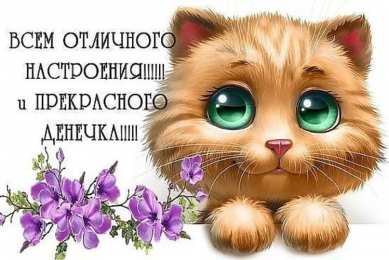 Хорошего дня Открытки с надписью - хорошего дня! Открытки на каждый день.