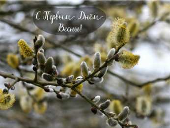 Открытки Первый день весны Открытки с поздравлениями с первым днём весны. Первый день весны. Открытки с поздравлениями с первым днём весны. Первый день весны. Красивые открытки смотреть онлайн бесплатно. Открытки с первым днем весны. Приятные пожелания.
