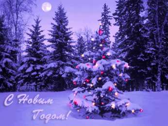 С Новым годом Открытки к Новому году. Открытки с поздравлением на Новый год.