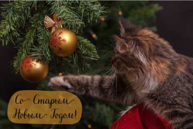 Открытки Со Старым Новым Годом Открытки со Старым Новым Годом. Поздравления на Старый Новый Год. Открытки со Старым Новым Годом. Поздравления на Старый Новый Год. Красивые открытки смотреть онлайн бесплатно. Поздравления со Старым Новым Годом для родных и близких.