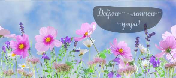 Лето Открытки на лето. Пожелания хороших летних дней. Летние открытки.