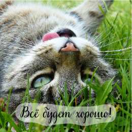 Открытки Всё будет хорошо! Открытки - всё будет хорошо! Приободрить словами - всё будет хорошо! Открытки - всё будет хорошо! Приободрить словами - всё будет хорошо! Красивые открытки смотреть онлайн бесплатно. Поднять настроение родным и близким. Всё будет хорошо!