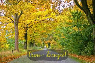 Открытки Скоро осень Открытки в преддверии осени. Скоро осень поздравления. Осень близко. Открытки в преддверии осени. Скоро осень поздравления. Осень близко. Красивые открытки смотреть онлайн бесплатно. Скоро осень открытки в преддверии осени. Осень.
