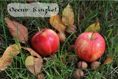 Открытки Скоро осень Открытки в преддверии осени. Скоро осень поздравления. Осень близко. Открытки в преддверии осени. Скоро осень поздравления. Осень близко. Красивые открытки смотреть онлайн бесплатно. Скоро осень открытки в преддверии осени. Осень.