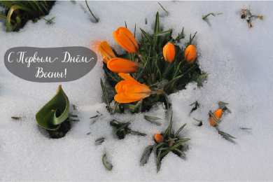 Открытки Первый день весны Открытки с поздравлениями с первым днём весны. Первый день весны. Открытки с поздравлениями с первым днём весны. Первый день весны. Красивые открытки смотреть онлайн бесплатно. Открытки с первым днем весны. Приятные пожелания.