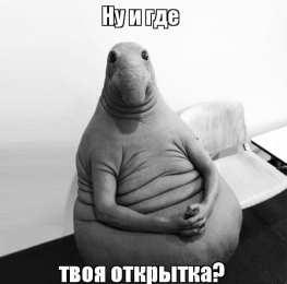 Мемы Открытки мемы. Открытки с мемами и приколами. Прикольные мемы.