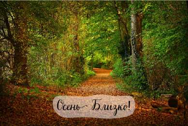 Открытки Скоро осень Открытки в преддверии осени. Скоро осень поздравления. Осень близко. Открытки в преддверии осени. Скоро осень поздравления. Осень близко. Красивые открытки смотреть онлайн бесплатно. Скоро осень открытки в преддверии осени. Осень.
