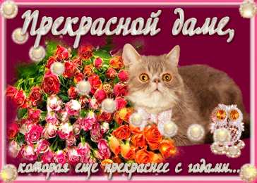 Открытки Ты прекрасна Открытки с цветами и надписью - ты прекрасна! Открытки для женщин. Открытки с цветами и надписью - ты прекрасна! Открытки для женщин. Красивые открытки с цветами для женщин смотреть онлайн бесплатно. Милые открытки, цветы, анимации.