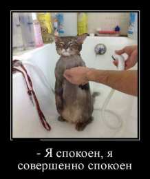 Демотиваторы Открытки демотиваторы. Прикольные открытки в демотиваторах. 