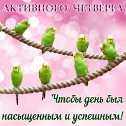 Удачного четверга Открытки с пожеланием удачного четверга. Открытки на четверг.