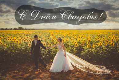 Открытки С Днём Свадьбы Открытки на День Свадьбы. Поздравления С Днём Свадьбы молодоженам. Открытки на День Свадьбы. Поздравления С Днём Свадьбы молодоженам. Красивые открытки смотреть онлайн бесплатно. Открытки на День Свадьбы. Свадьба поздравления. 