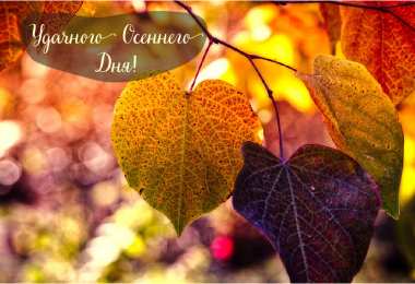 Открытки Осень Открытки на осень. Осенние открытки. С осенью поздравления.  Открытки на осень. Осенние открытки. С осенью поздравления. Красивые открытки смотреть онлайн бесплатно. Хорошего осеннего дня и осеннего утра. Осенние открытки для близких.