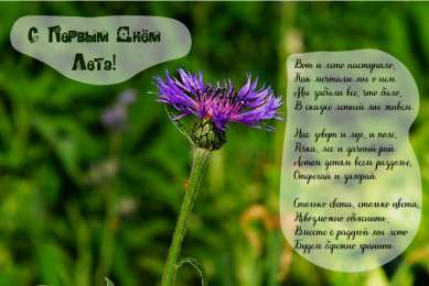 Открытки Первый день лета Открытки с поздравлениями с первым днём лета. Первый день лета. Открытки с поздравлениями с первым днём лета. Первый день лета. Красивые открытки смотреть онлайн бесплатно. Открытки к первому дню лета. Пожелания хорошего лета.