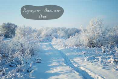 Открытки Зима Открытки на зиму. Зимние открытки на каждый день. Зимние поздравления. Открытки на зиму. Зимние открытки на каждый день. Зимние поздравления. Красивые открытки смотреть онлайн бесплатно. Открытки с зимним утром и зимним днём. Хорошей зимы.