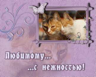 Для любимой/любимого Открытки для любимых.  Милые открытки для вторых половинок. 