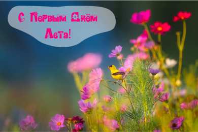 Открытки Первый день лета Открытки с поздравлениями с первым днём лета. Первый день лета. Открытки с поздравлениями с первым днём лета. Первый день лета. Красивые открытки смотреть онлайн бесплатно. Открытки к первому дню лета. Пожелания хорошего лета.