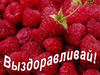 Открытки Выздоравливай! Открытки с пожеланиями скорейшего выздоровления. Выздоравливай! Открытки с пожеланиями скорейшего выздоровления. Выздоравливай! Красивые открытки смотреть онлайн бесплатно. Открытки с пожеланиями выздоровления и крепкого здоровья.