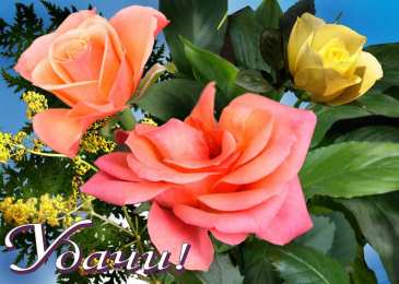 Открытки Удачи Открытки с пожеланиями удачи. Символы удачи в открытках. Желаю удачи! Открытки с пожеланиями удачи. Символы удачи в открытках. Желаю удачи! Красивые открытки смотреть онлайн бесплатно. Открытки на удачу для родных и близких. Удачи во всём!